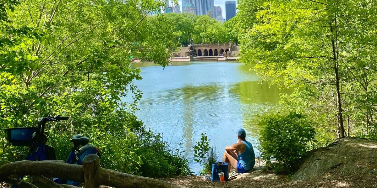 Central Park cosa fare e itinerari <b>a</b> piedi <b>del</b> parco