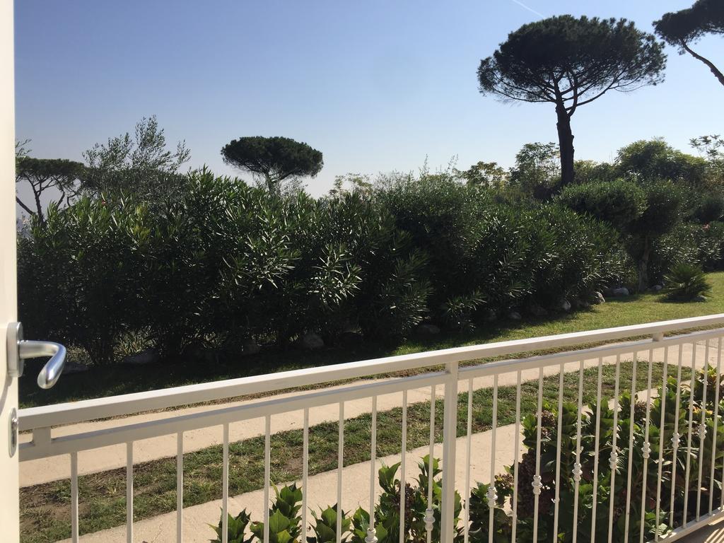 Studio Terrace
