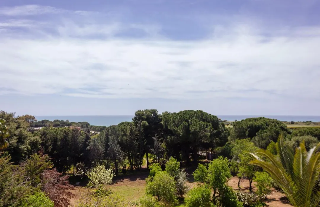 B&B Pirandello - Residence Villa Margherita-1