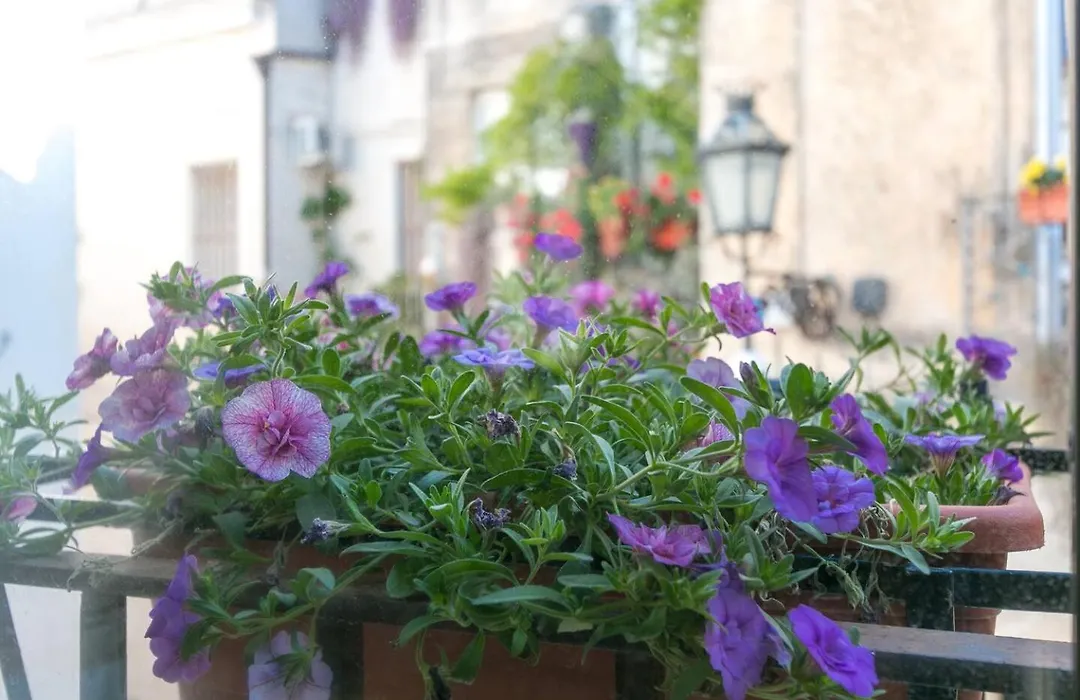 Palazzo Caminanti - Lecce-1