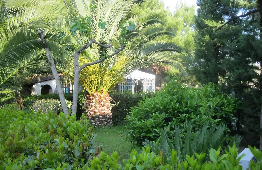 Hotel Tenuta San Francesco-1