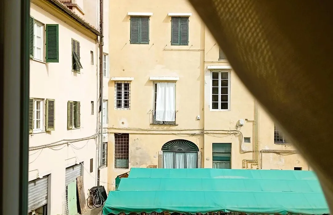 Madame Pucci-1