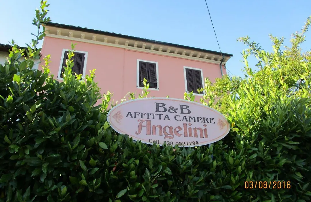 Angelini Dal 1911-1
