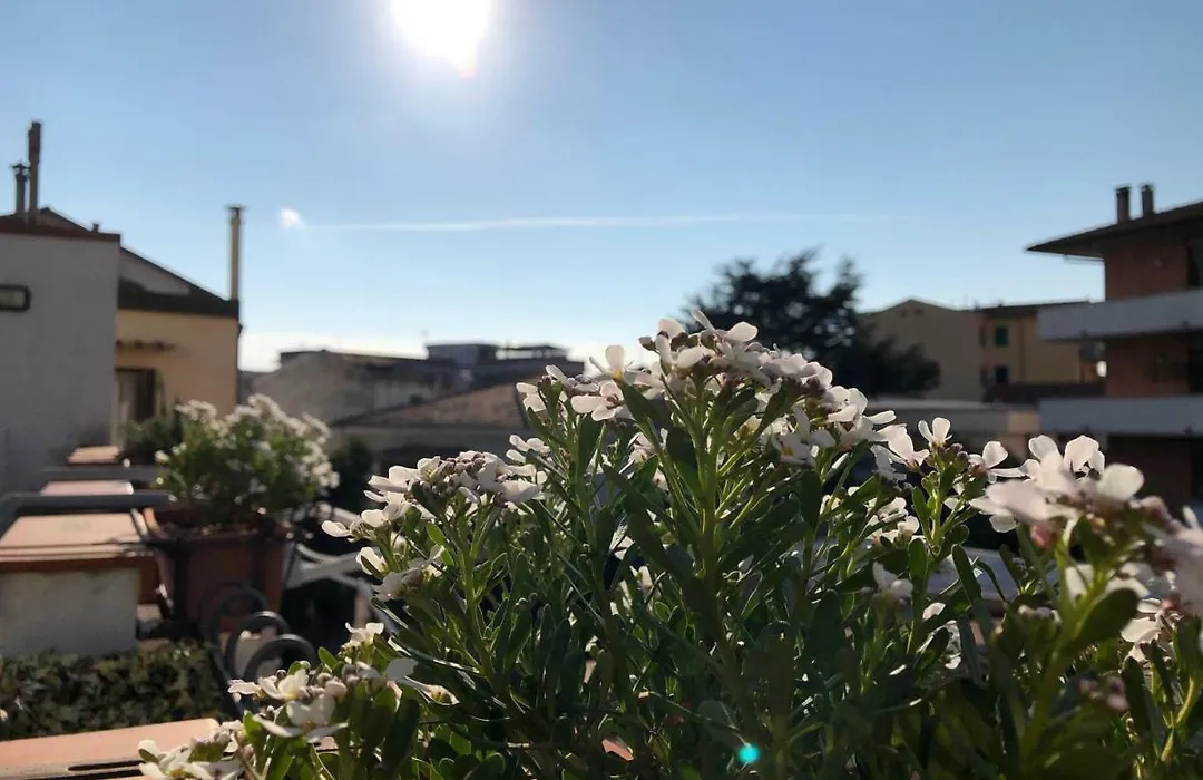 Da Paola-1