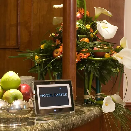 Hotel Castle-2