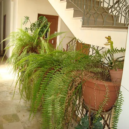 Antonio'S House-3