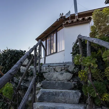 B&B Eyexei Domus-3