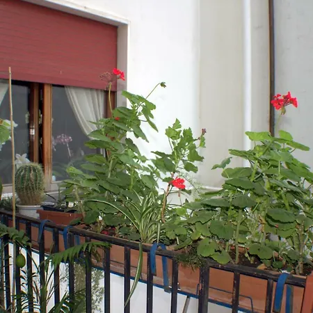 B&B Lili-3